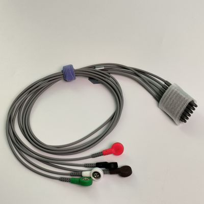 IT20 EKG Telemetry Lead Wire Lima Lead American Standard Buckle Style REF EL05DASY1